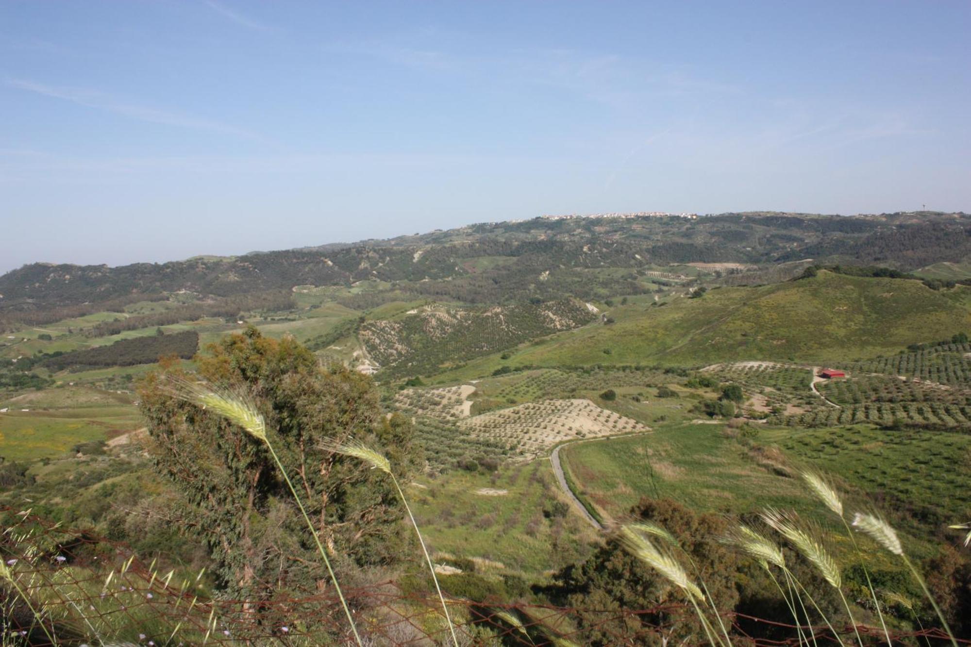 Azienda Agrituristica Biologica Il Querceto Santa Severina Exteriör bild