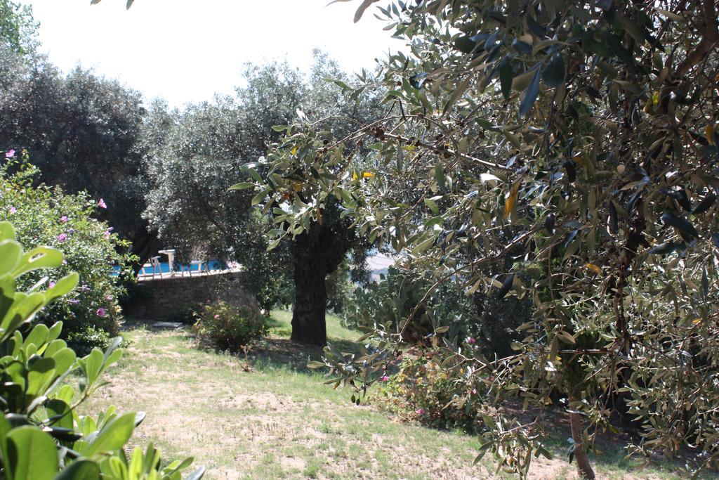 Azienda Agrituristica Biologica Il Querceto Santa Severina Exteriör bild
