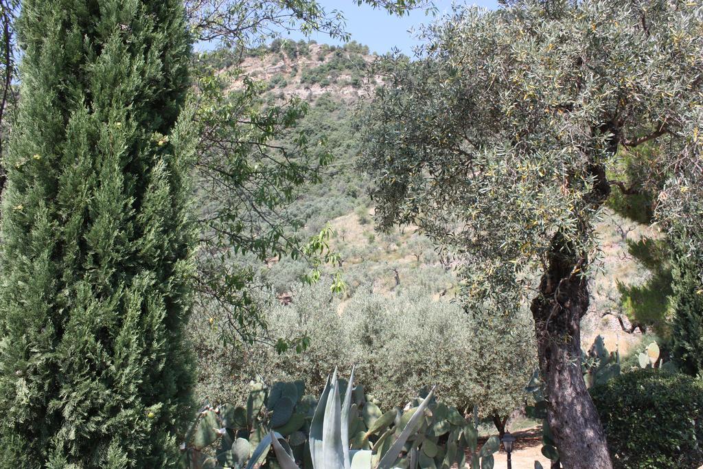 Azienda Agrituristica Biologica Il Querceto Santa Severina Exteriör bild