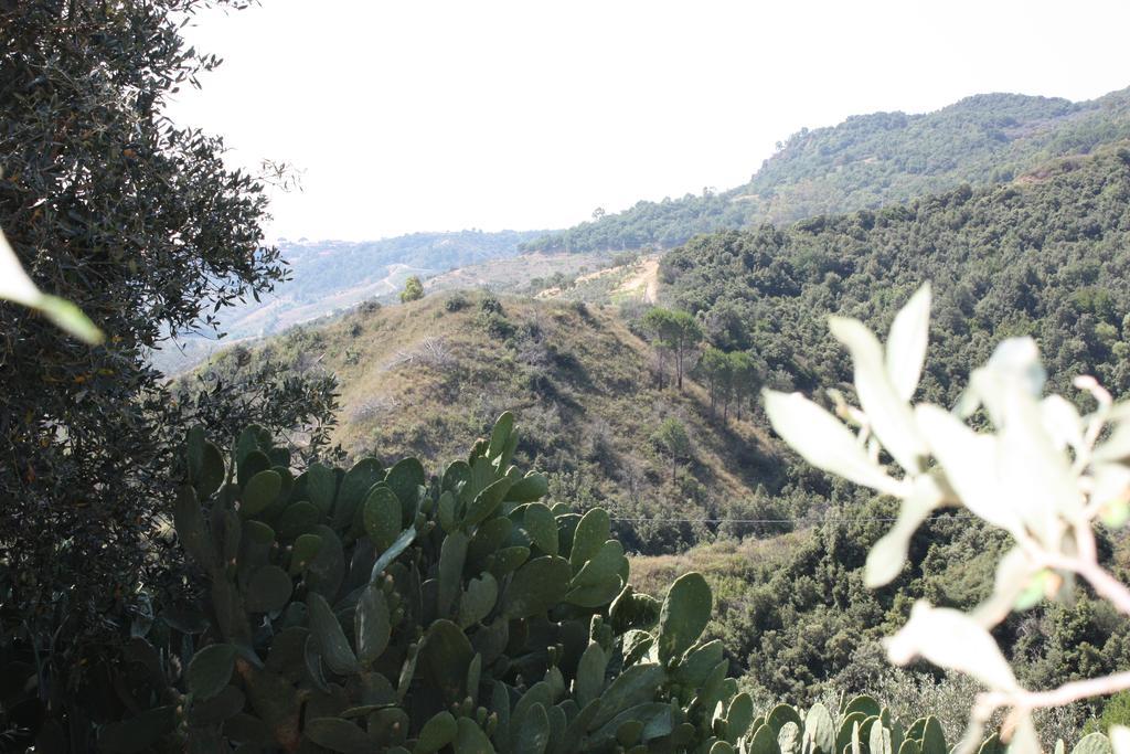 Azienda Agrituristica Biologica Il Querceto Santa Severina Exteriör bild