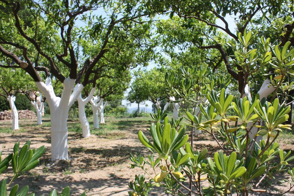 Azienda Agrituristica Biologica Il Querceto Santa Severina Exteriör bild
