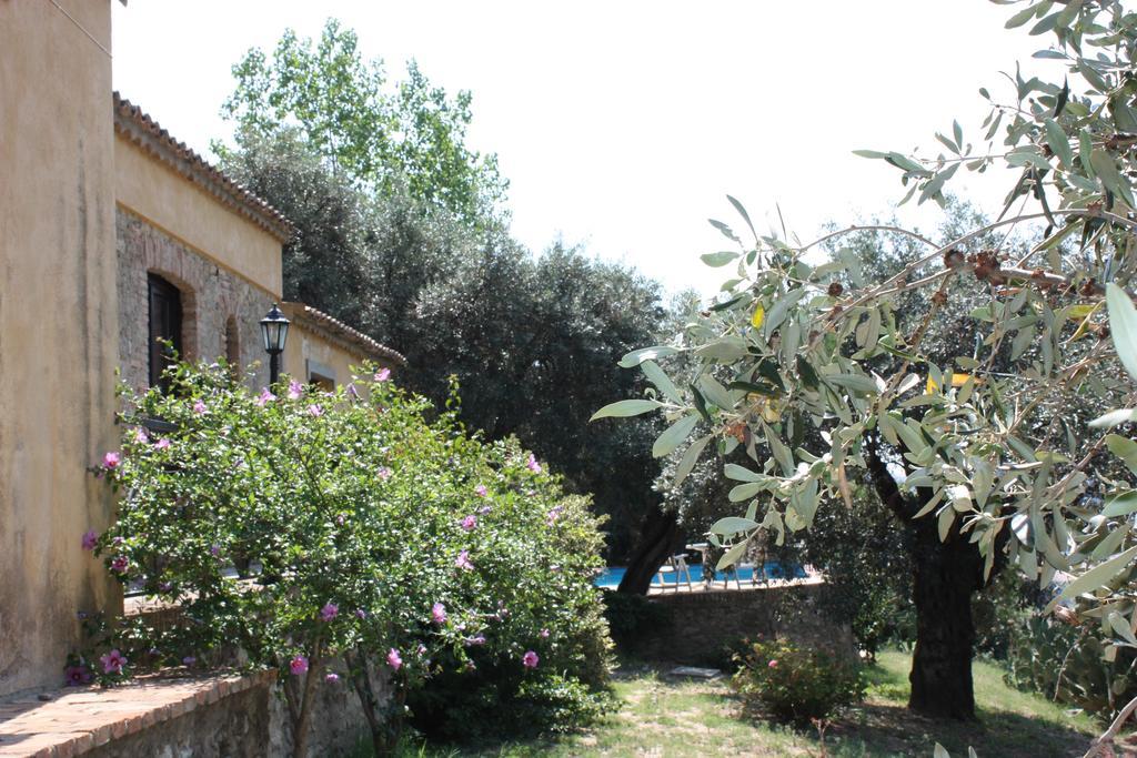Azienda Agrituristica Biologica Il Querceto Santa Severina Exteriör bild