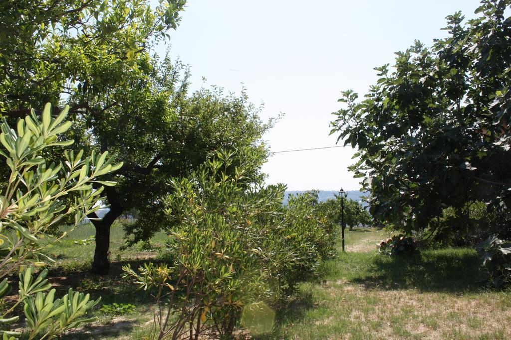 Azienda Agrituristica Biologica Il Querceto Santa Severina Exteriör bild