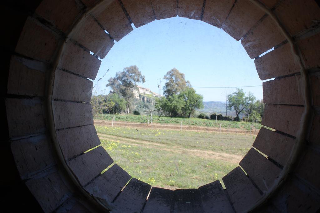 Azienda Agrituristica Biologica Il Querceto Santa Severina Exteriör bild