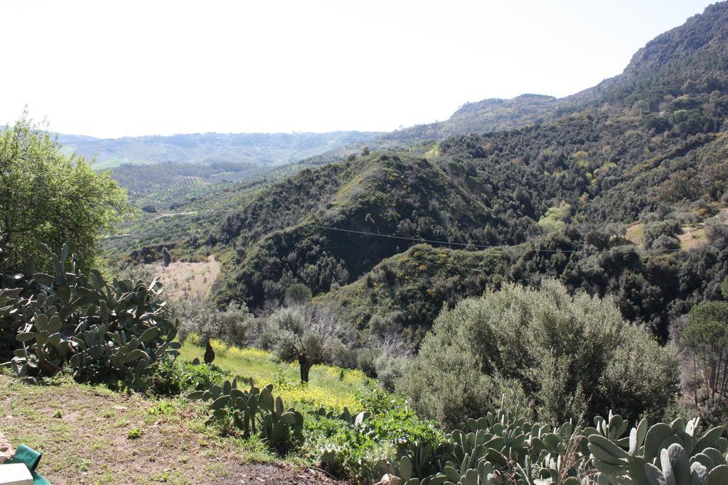 Azienda Agrituristica Biologica Il Querceto Santa Severina Exteriör bild