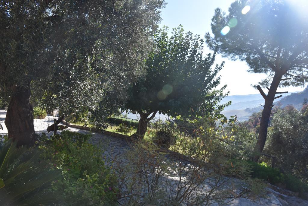 Azienda Agrituristica Biologica Il Querceto Santa Severina Exteriör bild