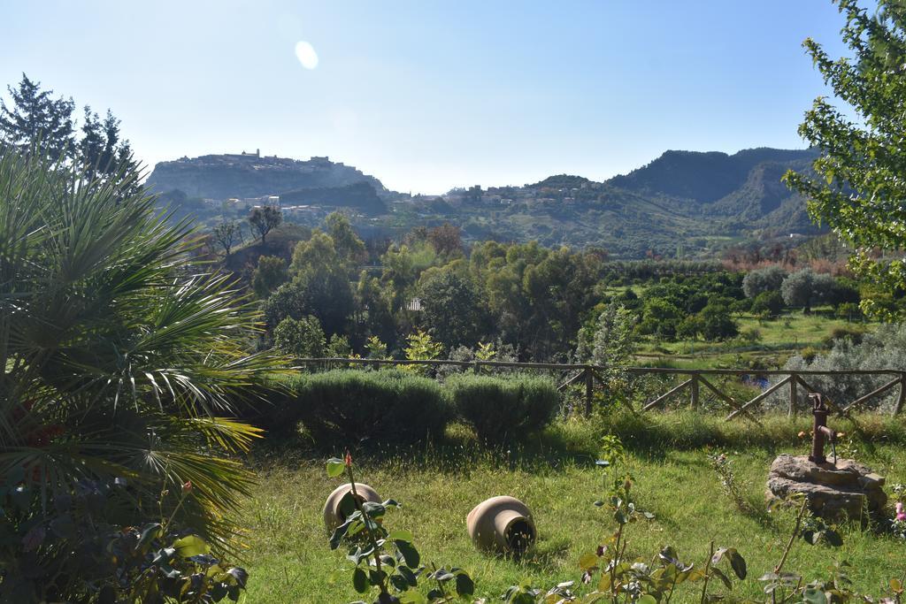 Azienda Agrituristica Biologica Il Querceto Santa Severina Exteriör bild