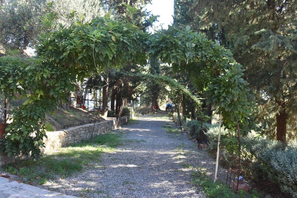 Azienda Agrituristica Biologica Il Querceto Santa Severina Exteriör bild